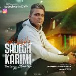 دانلود آهنگ صادق کریمی بانوی زیبایی ها